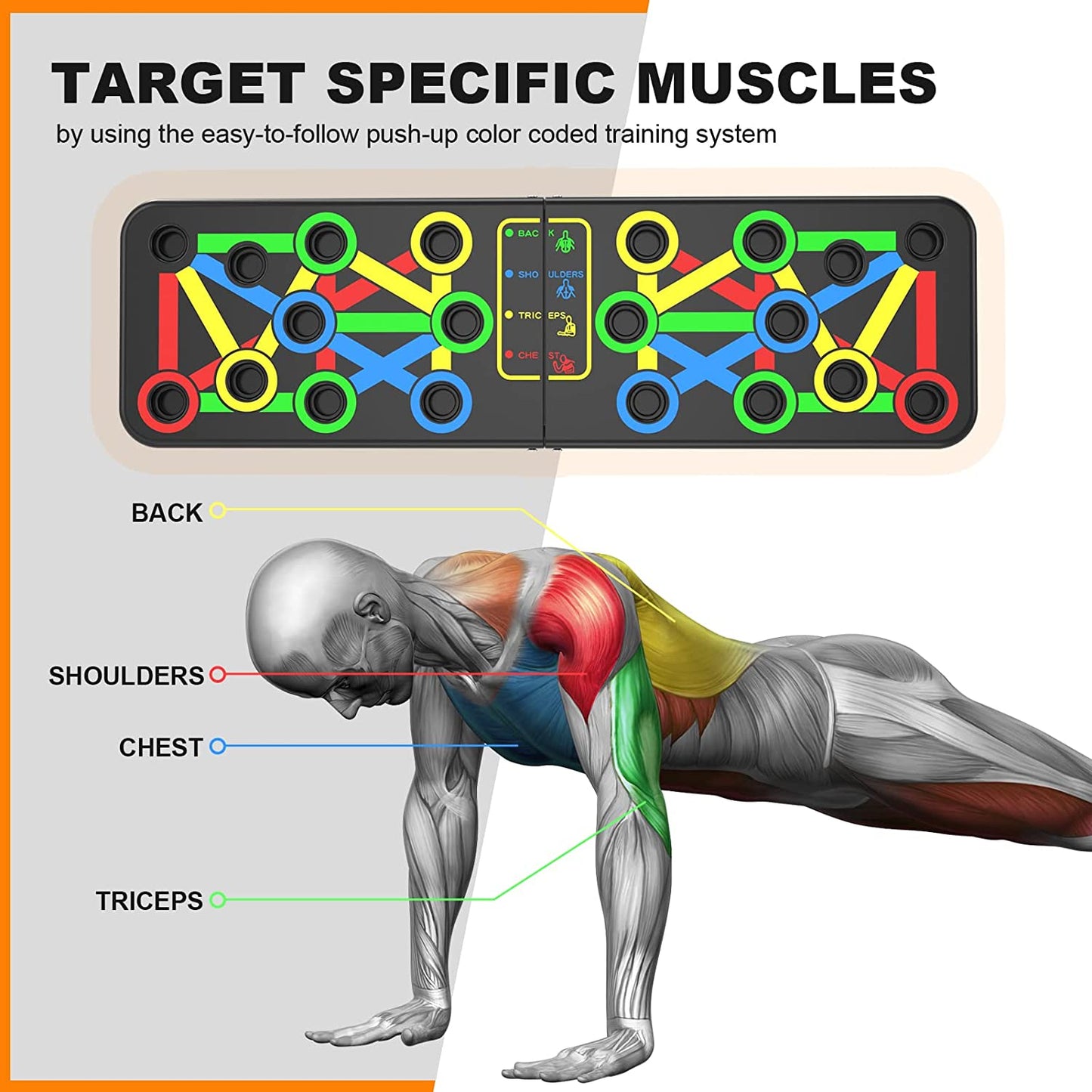 TABLA DE FLEXIONES MULTI-MUSCULAR